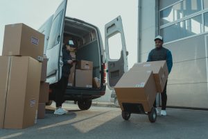 Labor market forecast report