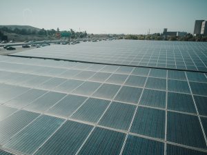 sustainable energy trends