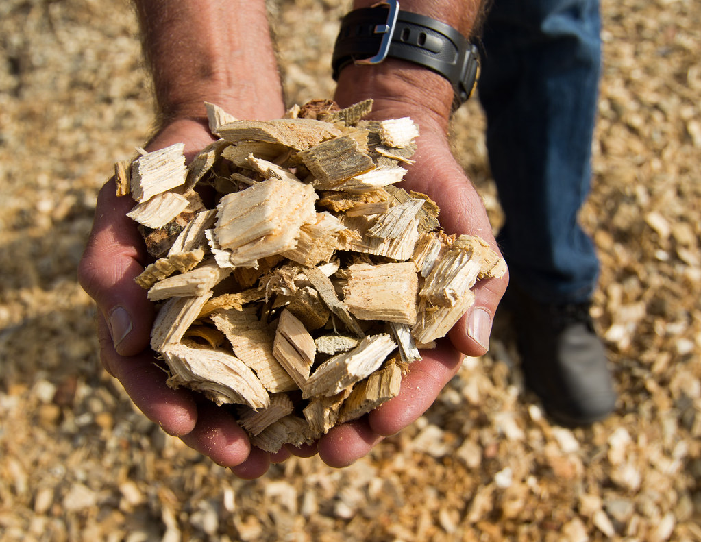 Biomass Energy Solutions