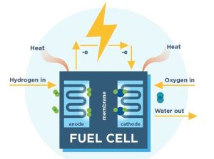 Fuel Cells