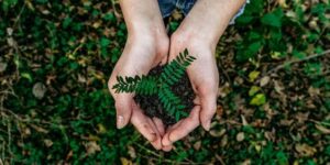 Sustainable Development in Industry